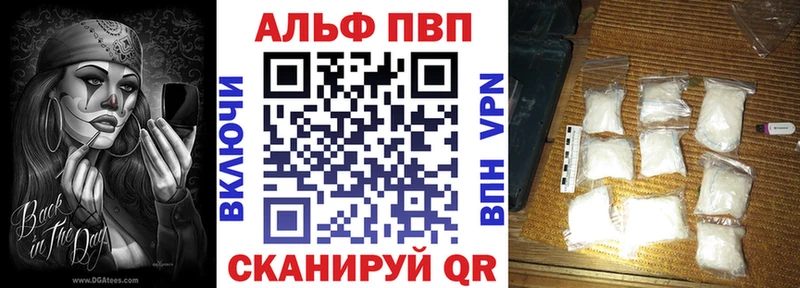 дарнет шоп  Камызяк  Альфа ПВП СК КРИС 