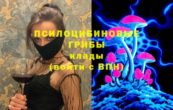 PSILOCYBIN Верхнеуральск