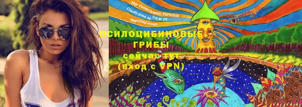 PSILOCYBIN Верхнеуральск